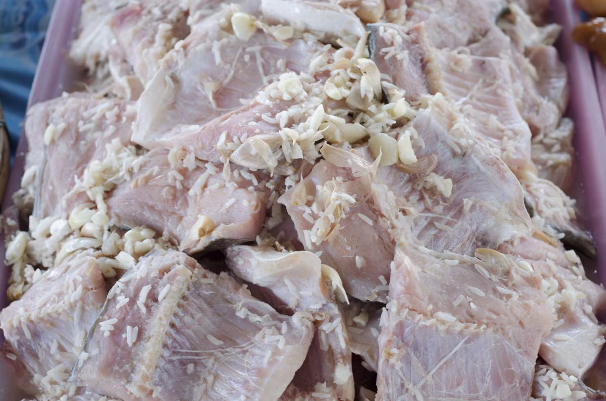 Sau khi lên men, cá có mùi không khác nước tiểu. Ảnh: Odditycentral.