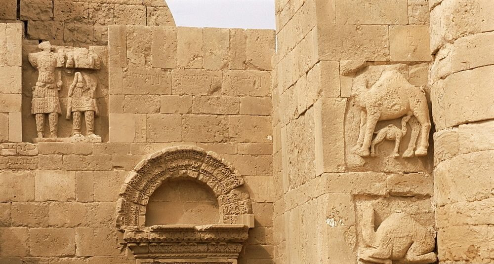 Cụ thể, các chuyên gia nhận thấy người xưa đã khắc họa đầu một vị vua được bao quanh bởi 2 hàng lạc đà, mỗi bên 5 con. Các cuộc kiểm tra cho thấy những con lạc đà đứng đầu mỗi hàng là hỗn hợp của 2 loài lạc đà gồm: lạc đà Dromedaries và lạc đà Bactrian.