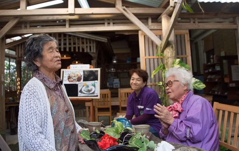 Khi ghé thăm làng Ogimi, nhiều người ấn tượng trước tấm bia đá khắc dòng chữ: "Ở tuổi 80, bạn chỉ là thanh niên. Đến mốc 90, nếu tổ tiên vời bạn lên thiên đường, hãy bảo họ chờ đến khi bạn 100, lúc đó bạn sẽ cân nhắc".