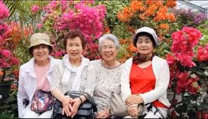 Nghiên cứu của các chuyên gia cho thấy tỷ lệ người dân ở Okinawa sống thọ hơn 100 tuổi cao hơn 40% so với những người dân sống ở các vùng đất khác tại Nhật Bản.