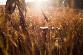 Nếu dự đoán của các chuyên gia đồ cổ là chính xác thì thanh kiếm trên có niên đại ít nhất khoảng 300 tuổi. Đây là một khám phá tuyệt vời đối với Fionntan khi tìm thấy hiện vật giá trị khi mới 10 tuổi.