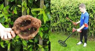 Máy dò kim loại phát tín hiệu 2 lần đầu tiên nhưng khi đào xuống thì không thấy thứ gì giá trị. Đến lần thứ ba, Fionntan và người anh họ Darran vui mừng khi tìm thấy một vật rỉ sét ở độ sâu chỉ khoảng 30 cm dưới lòng đất.