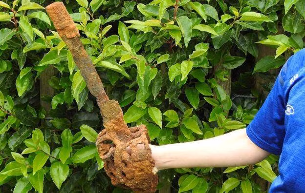 Sau khi đào được hiện vật lên và làm sạch bùn đất, Fionntan nhận ra đó là một thanh kiếm bị rỉ sét.