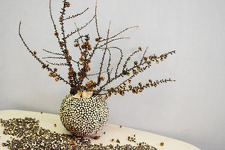 Thế nhưng, nếu không chăm sóc tốt thì cây cảnh đặt trong phòng khách có thể bị héo úa, thậm chí chết hẳn. Theo các chuyên gia phong thủy, trong phòng khách có cây khô héo, chết được xem là điềm báo của sự kém may mắn cũng như khiến mọi người trong gia đình khó chịu, không thoải mái.