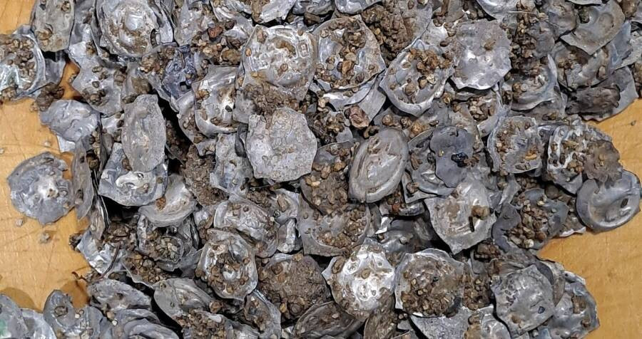 Các chuyên gia cho hay đây là kho báu lớn nhất được tìm thấy tại khu vực này kể từ năm 1949.