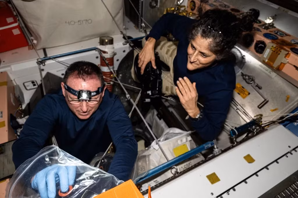 Theo thông báo của NASA, đến nay, phi hành gia Williams và Wilmore đã tham gia một số công việc thường ngày như: bảo dưỡng trạm vũ trụ, kiểm tra phần cứng, sắp xếp hàng hóa, thực hiện kiểm tra tàu vũ trụ Starliner, hỗ trợ các thí nghiệm khoa học và trình diễn công nghệ.