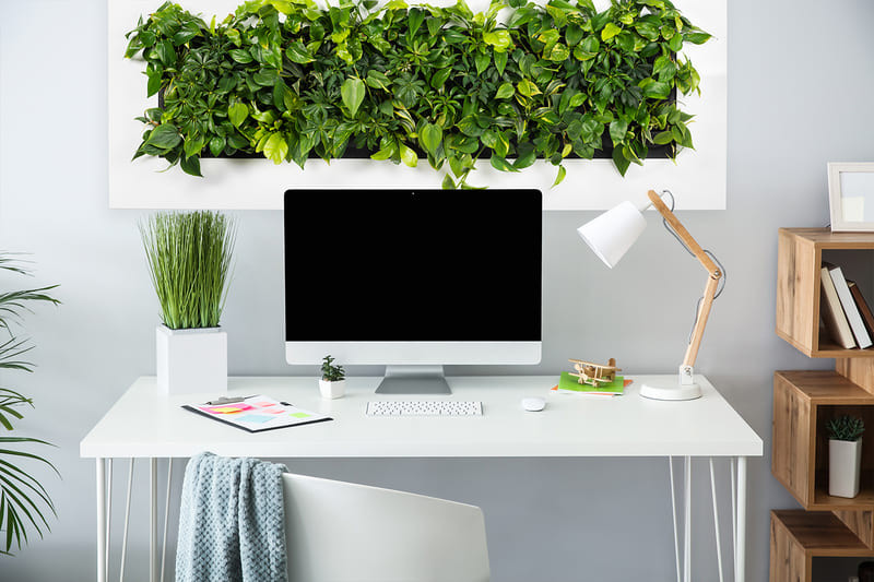 Bố trí cây xanh trên bàn làm việc cũng giúp sự nghiệp hanh thông, tiền đồ rộng mở, cuộc sống viên mãn. Thông tin trong bài chỉ mang tính tham khảo.