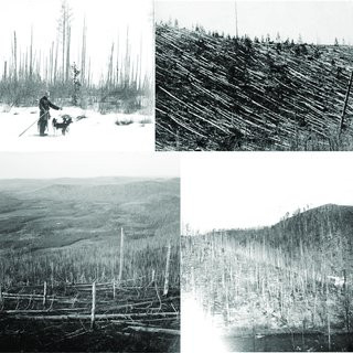 Nhiều giả thuyết đã được đưa ra nhưng đến nay, các chuyên gia vẫn chưa tìm được những bằng chứng khoa học giúp chứng minh, làm sáng tỏ sự việc này.