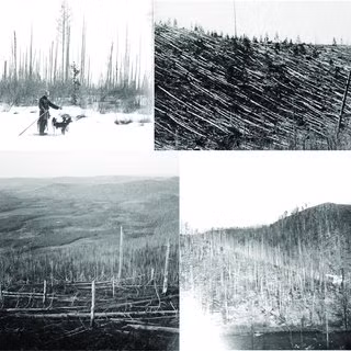 Nhiều giả thuyết đã được đưa ra nhưng đến nay, các chuyên gia vẫn chưa tìm được những bằng chứng khoa học giúp chứng minh, làm sáng tỏ sự việc này.