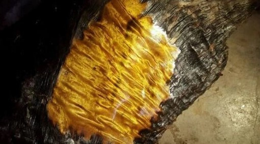 Kim Tơ Nam Mộc có vân thẳng và chặt, có kết cấu mịn, không thấm nước, không bị mối mọt.