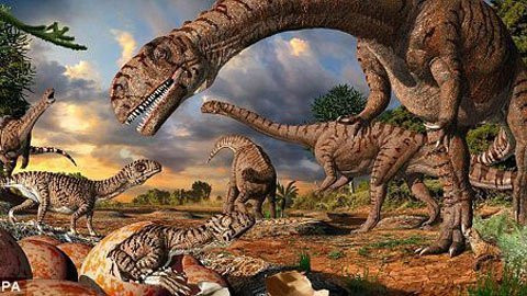 Một tiểu hành tinh đã lao vào Trái đất với sức mạnh bằng 10 triệu quả bom nguyên tử vào 66 triệu năm trước. Sự kiện này đã làm thay đổi toàn bộ quá trình tiến hóa khi hơn 90% tất cả các loài sinh vật biến mất. Trong số này, loài khủng long tuyệt chủng.