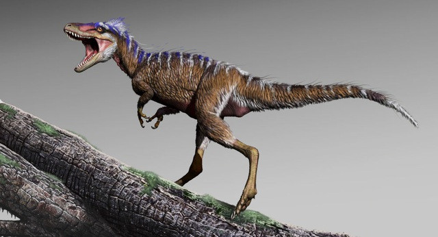 Sự tồn tại của các loài khủng long trên Trái đất được các nhà nghiên cứu dự đoán sẽ ảnh hưởng rất lớn đến hệ sinh thái và các loài động thực vật trên Trái đất.