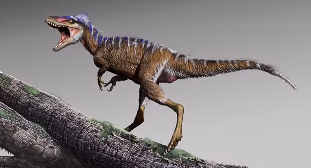 Sự tồn tại của các loài khủng long trên Trái đất được các nhà nghiên cứu dự đoán sẽ ảnh hưởng rất lớn đến hệ sinh thái và các loài động thực vật trên Trái đất.