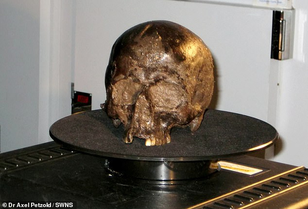 Trước đó, những nghiên cứu của các chuyên gia chỉ ra "bộ não Heslington" là một phần thi thể của người đàn ông trung niên. Người này qua đời vào khoảng năm 673 trước Công nguyên đến năm 482 trước Công nguyên. Nguyên nhân tử vong có thể là do cột sống bị gãy khi bị treo cổ.