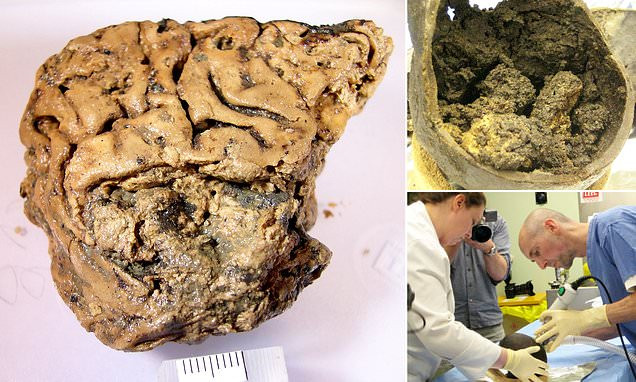 Các chuyên gia cho hay sẽ thực hiện các nghiên cứu khác nhằm sớm làm sáng tỏ hợp chất bí ẩn giúp bảo quản vẹn nguyên "bộ não Heslington" là gì.