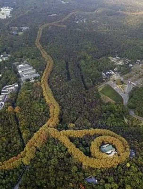 Được mệnh danh là "đệ nhất biệt thự Viễn đông", cung điện Mỹ Linh được xây dựng từ năm 1931 và hoàn thành năm 1934. Sau đó, công trình đặt theo tên của Tống Mỹ Linh. Vợ chồng Tống Mỹ Linh thường xuyên tới đây nghỉ ngơi thư giãn trước khi sang Đài Loan.