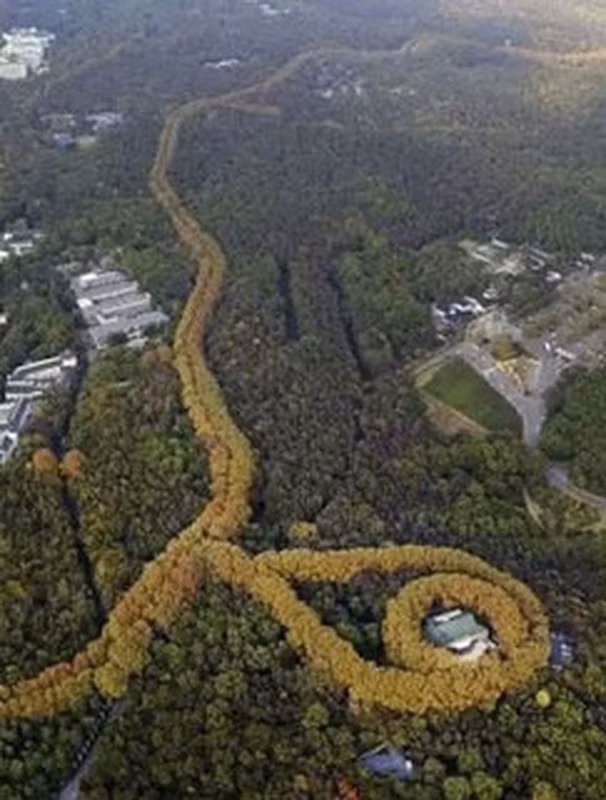 Được mệnh danh là "đệ nhất biệt thự Viễn đông", cung điện Mỹ Linh được xây dựng từ năm 1931 và hoàn thành năm 1934. Sau đó, công trình đặt theo tên của Tống Mỹ Linh. Vợ chồng Tống Mỹ Linh thường xuyên tới đây nghỉ ngơi thư giãn trước khi sang Đài Loan.