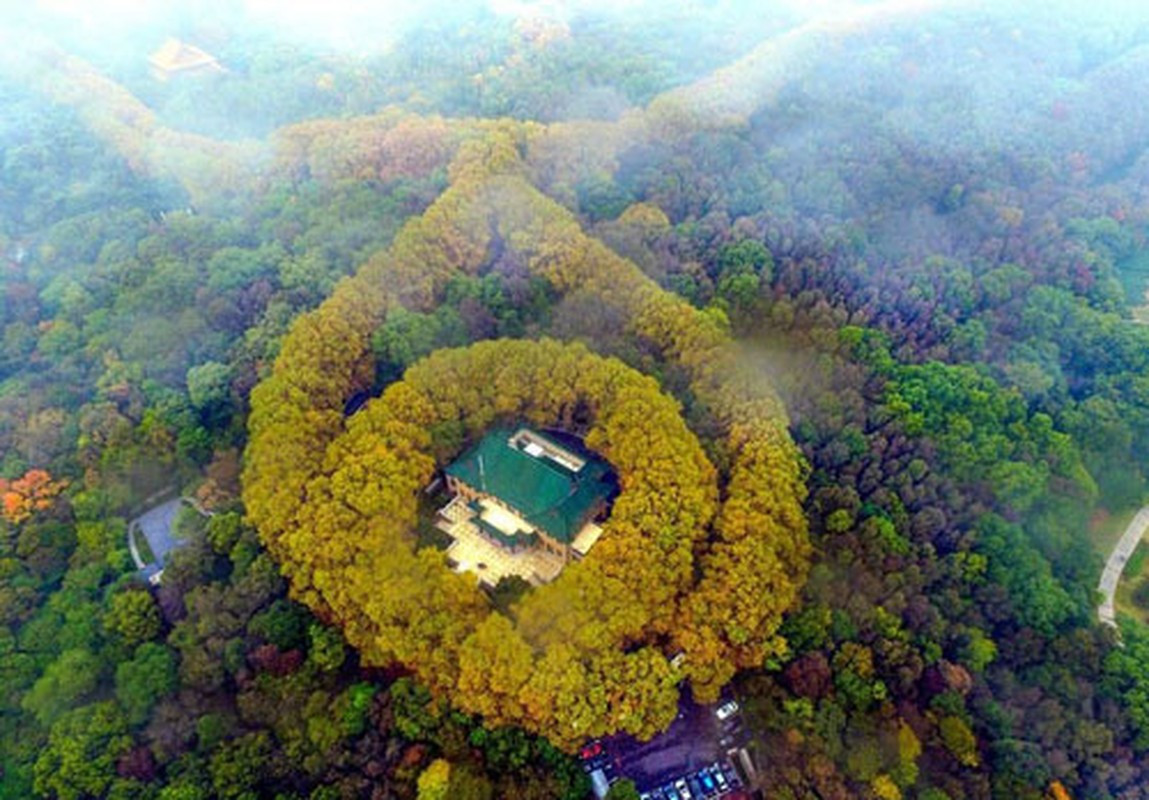 Ngói thanh lưu ly là loại ngói quý hiếm chỉ được sử dụng ở phủ quan lại, quý tộc Trung Quốc thời phong kiến.