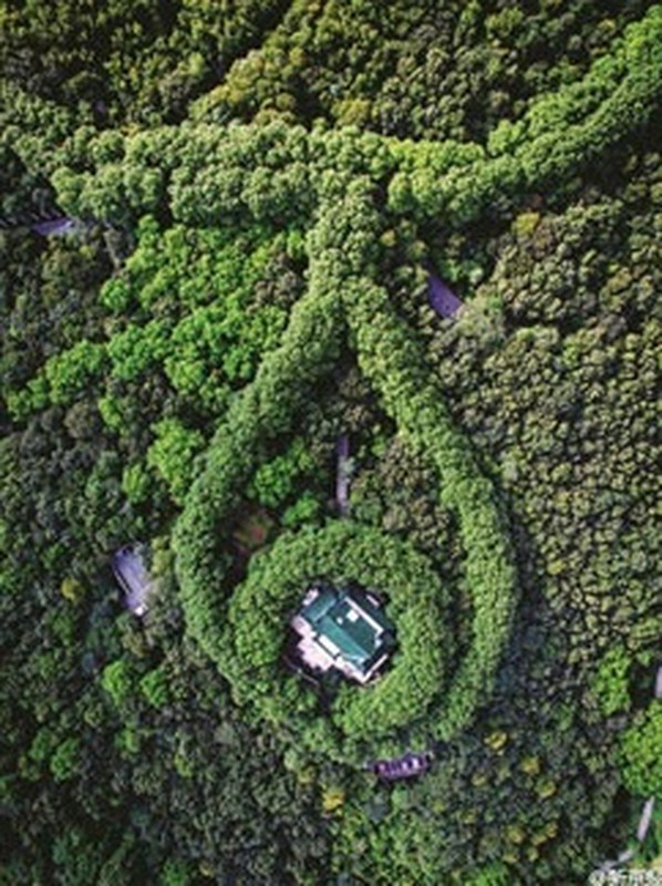 Cung điện Mỹ Linh nằm trên đỉnh núi Tiểu Hồng, trong khu danh thắng Trung Sơn nổi tiếng thuộc thành phố Nam Kinh, tỉnh Giang Tô, Trung Quốc. Đây là món quà tình yêu của Tưởng Giới Thạch dành tặng Tống Mỹ Linh nhân dịp sinh nhật bà.