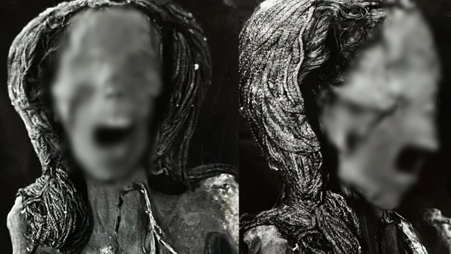 Trong nghiên cứu mới công bố trên tạp chí Frontiers in Medicine, các nhà nghiên cứu đã có phát hiện bất ngờ về xác ướp "người phụ nữ la hét" có niên đại khoảng 3.500 tuổi. Thi hài của bà được tìm thấy năm 1935 trong lăng mộ của Senenmut - kiến trúc sư hoàng gia thuộc triều đại thứ 18 của Nữ hoàng Ai Cập Hatshepsut.