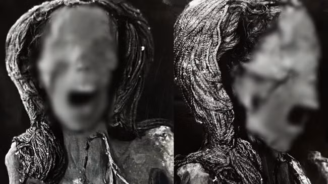 Trong nghiên cứu mới công bố trên tạp chí Frontiers in Medicine, các nhà nghiên cứu đã có phát hiện bất ngờ về xác ướp "người phụ nữ la hét" có niên đại khoảng 3.500 tuổi. Thi hài của bà được tìm thấy năm 1935 trong lăng mộ của Senenmut - kiến trúc sư hoàng gia thuộc triều đại thứ 18 của Nữ hoàng Ai Cập Hatshepsut.