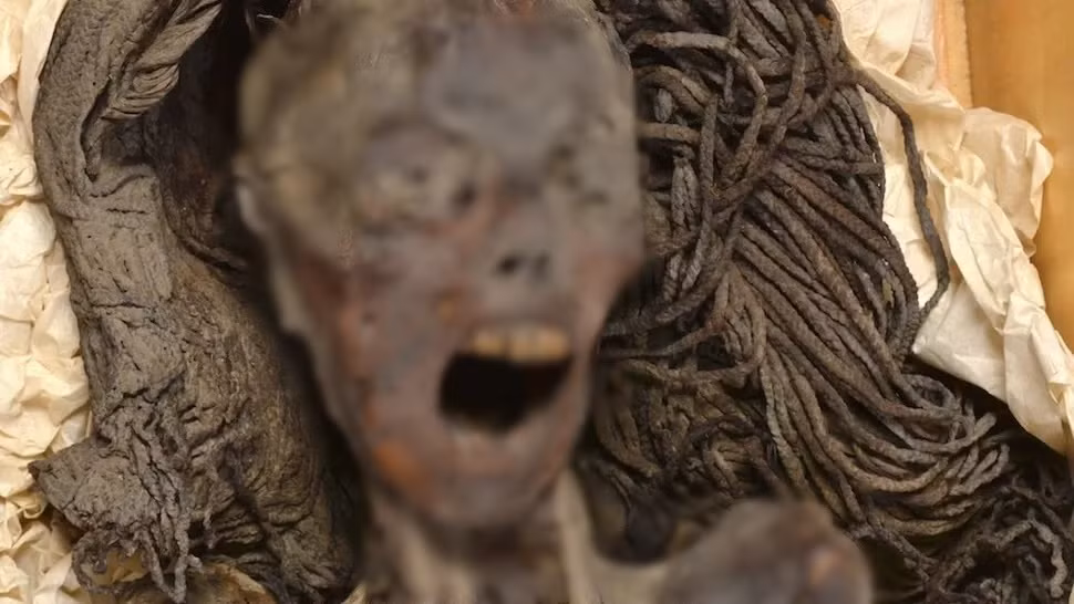 Những nghiên cứu trước đó chỉ ra "người phụ nữ la hét" có vóc dáng khá nhỏ bé, chỉ cao khoảng 1,54m và qua đời khi khoảng 48 tuổi. Khi còn sống, bà bị chứng viêm khớp.