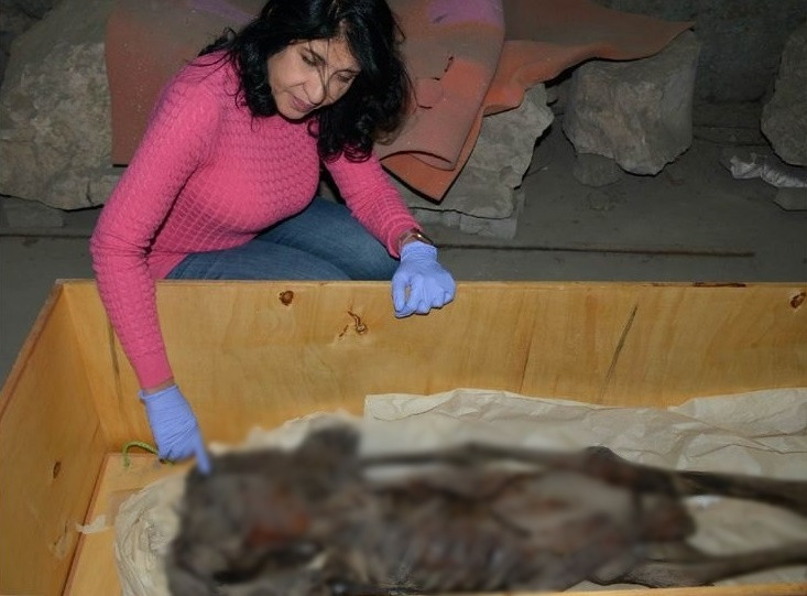 Cách ướp xác này đi ngược với cách ướp xác truyền thống của người Ai Cập cổ đại là loại bỏ tất cả cơ quan nội tạng ra khỏi thi hài, ngoại trừ tim rồi đem ướp xác, đặt trong các bình chôn cất.