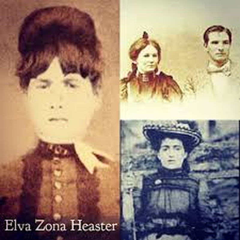 Với những nghi ngờ này, công tố viên Preston cho khai quật thi hài Zona lên để khám nghiệm tử thi. Kết quả khám nghiệm của các chuyên gia cho thấy cô thực sự bị sát hại. Bằng các nghiệp vụ, cảnh sát đã khiến Shue thú nhận tội ác. Với tội danh sát hại vợ, gã bị kết án tù chung thân.