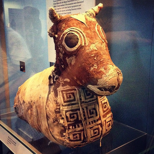 Kế đến, thợ ướp xác bọc xác ướp lại. Ở một số xác ướp được bảo quản gần như vẹn nguyên, giới nghiên cứu có thể biết được chúng đã ăn bữa cuối những thứ gì thông qua nghiên cứu, kiểm tra những dấu vết của thức ăn còn sót lại trong dạ dày.