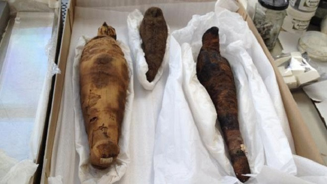 Người Ai Cập dâng lên các xác ướp động vật với mục đích gửi đi những thông điệp trực tiếp đến các vị thần. Họ tin rằng, những lời cầu nguyện về một cuộc sống no đủ, hạnh phúc, bình an... của họ thông qua những lễ vật đó sẽ làm hài lòng các vị thần và được đấng thần linh che chở.