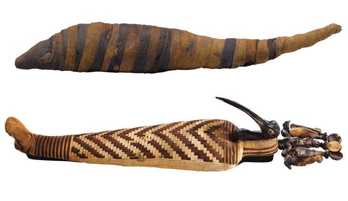 Theo nghiên cứu của các chuyên gia, sở dĩ người Ai Cập cổ đại ướp xác động vật vì tin rằng chúng là những loài vật linh thiêng, có liên quan đến các vị thần. Do đó, chúng bị giết chết rồi ướp xác với số lượng lớn để làm vật hiến tế, dâng lên các vị thần.