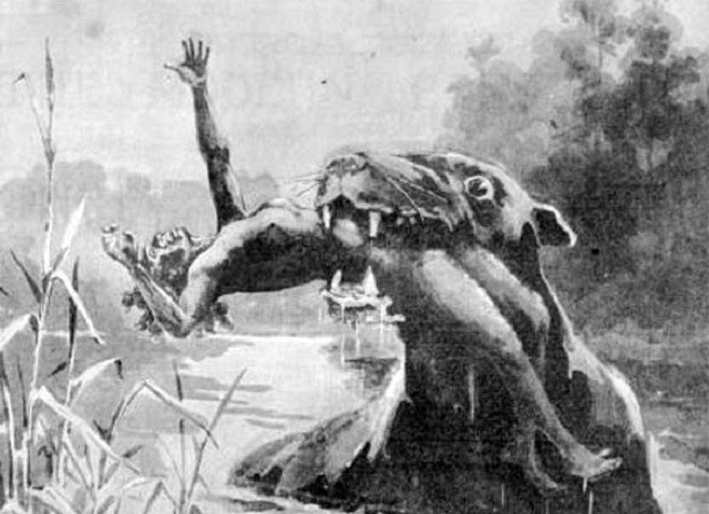 Truyền thuyết về Bunyip - quái thú giống hải cẩu, cổ dài tới 1m đã khiến thổ dân ở Australia sống trong lo âu, sợ hãi trong một thời gian dài.