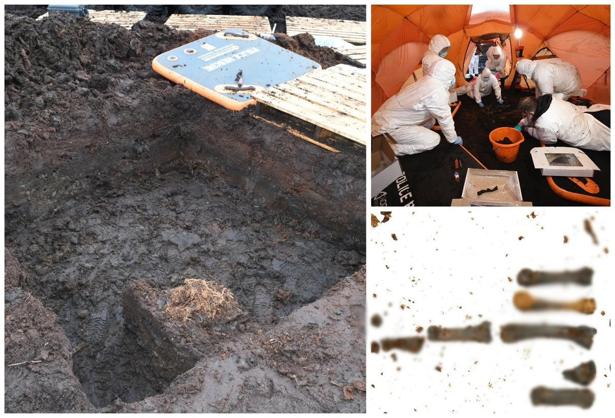 Xác ướp được tìm thấy trên mảnh đất thuộc sở hữu của Bộ Nông nghiệp. Vì vậy, các chuyên gia tại đây đang làm việc với Bảo tàng Quốc gia Bắc Ireland để chuyển hài cốt tới bảo tàng để bảo quản và thực hiện các nghiên cứu tiếp theo.