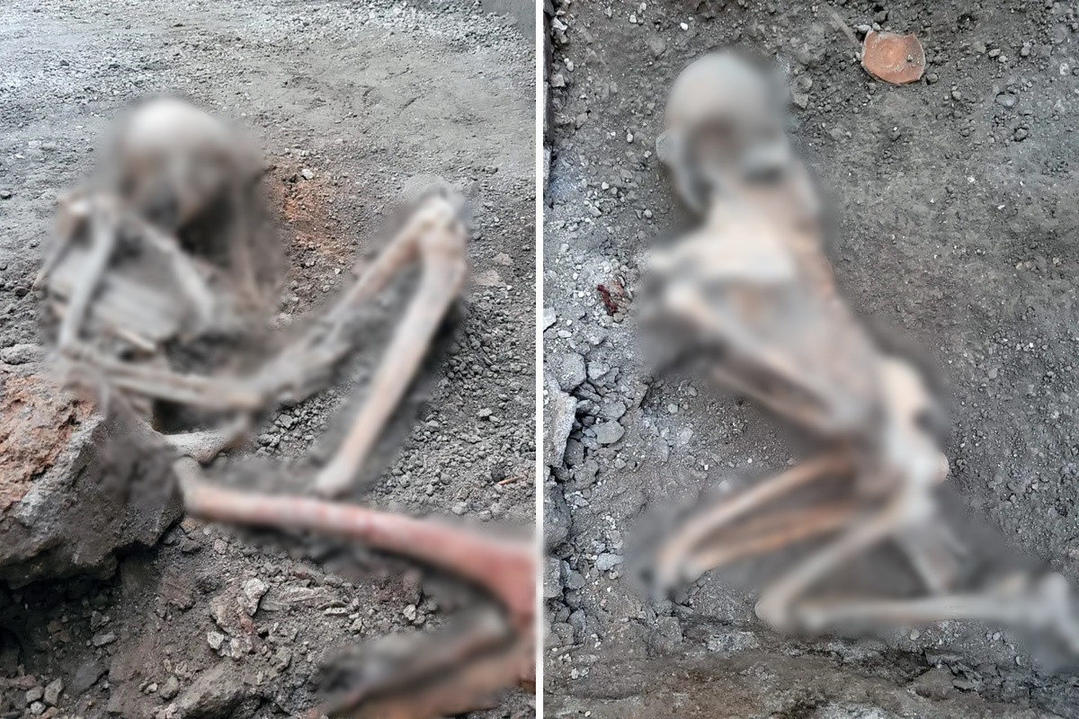 Tuy nhiên, khi căn phòng bên cạnh đầy đá bọt, 2 người trên bị mắc kẹt. Căn cứ vào lớp tro bụi dày vài cm trên sàn, họ có thể mất mạng vì luồng mạt vụn núi lửa - luồng vật liệu núi lửa và khí nóng di chuyển nhanh.