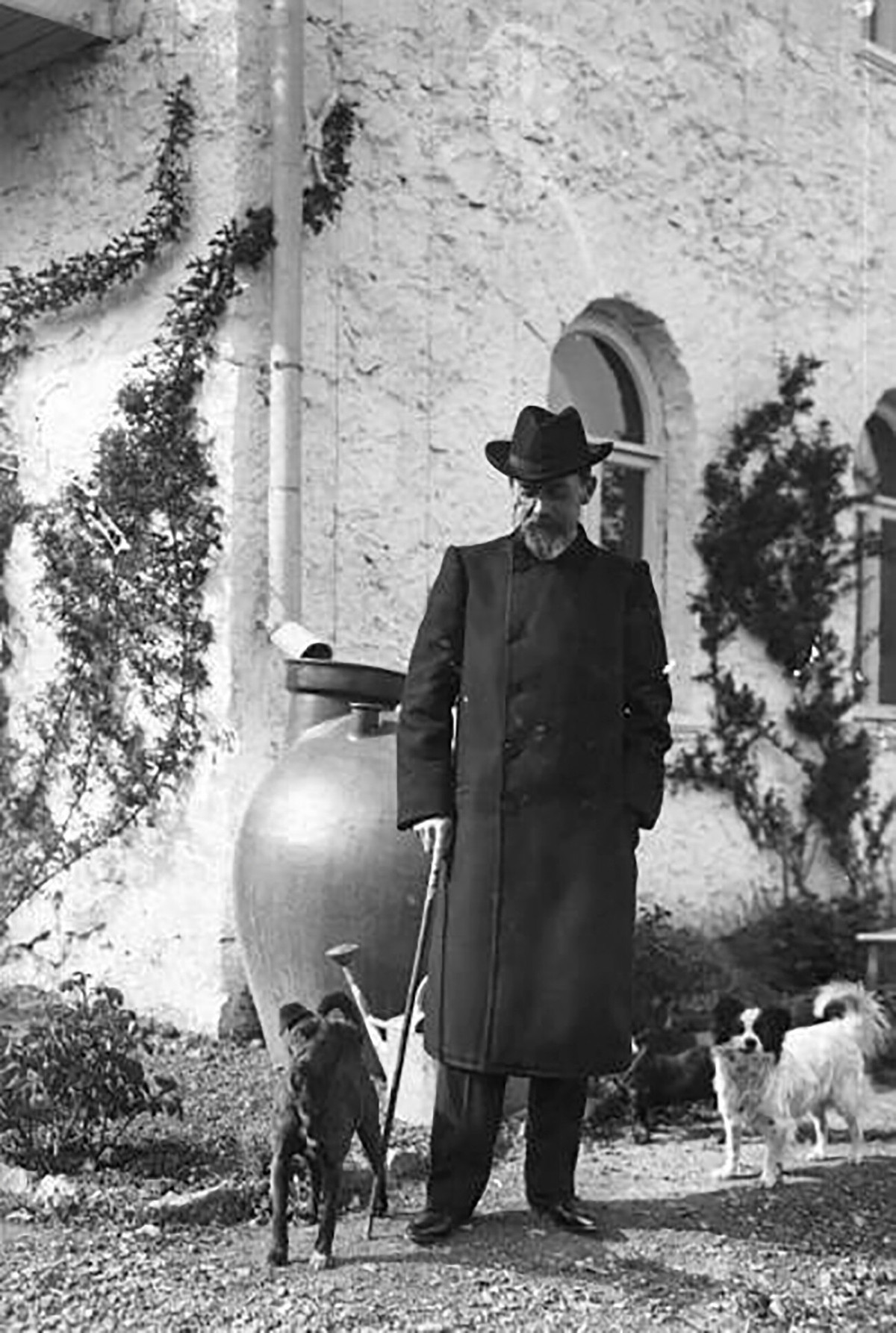 Một người đàn ông nghỉ hè tại một căn nhà gỗ ở Crimea. Ông chơi đùa cùng những con chó cưng.