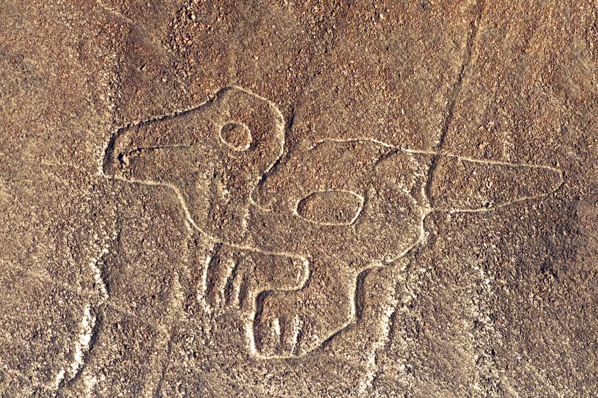 Theo các chuyên gia, những hình vẽ Nazca được chạm khắc trên sa mạc trong khoảng thời gian từ năm 500 trước Công nguyên đến năm 500 sau Công nguyên. Chúng được người xưa tạo ra bằng cách khoét sâu vào lòng đất, loại bỏ lớp đất giàu sắt màu đỏ trên cùng để lộ ra lớp đất bên dưới có màu nhạt hơn.