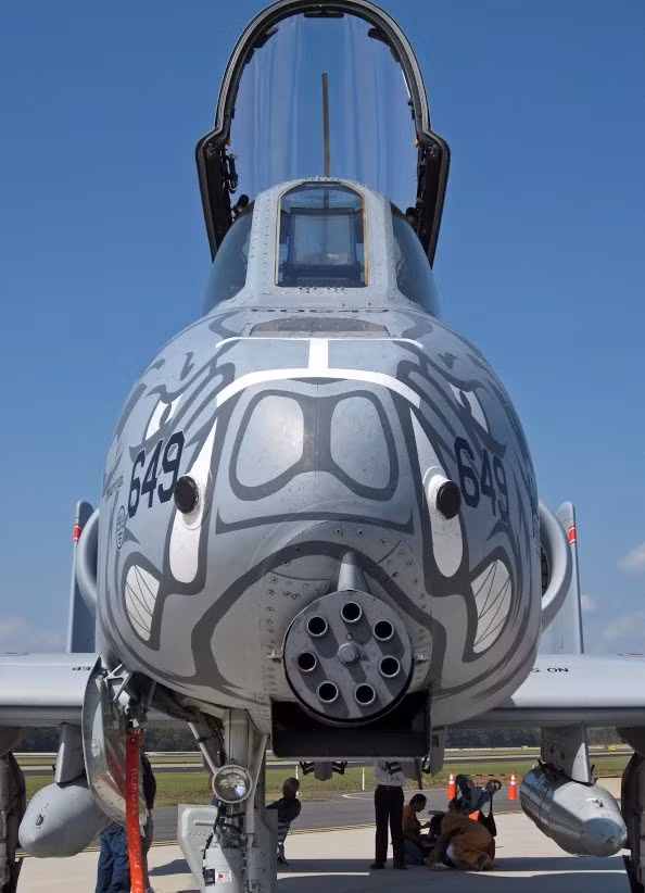A-10 còn có tên gọi là “Warthog” (Lợn lòi) vì hình dáng đặc biệt của nó. Dù không sở hữu tốc độ nhanh như máy bay phản lực chiến thuật, nó rất cơ động do 2 cánh rộng.