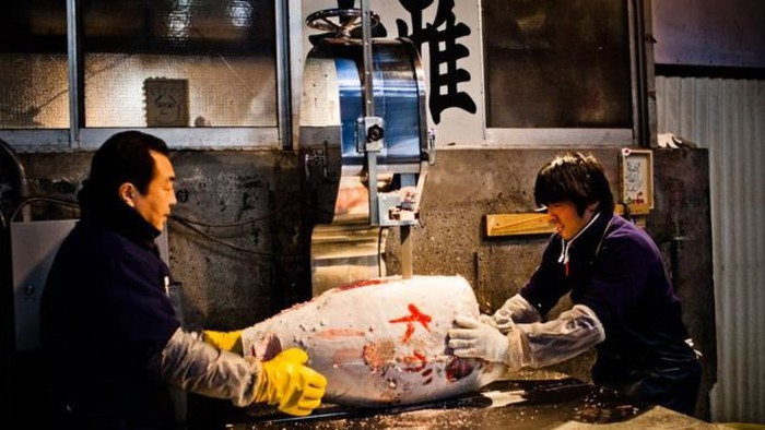 Tại Tsukiji, hơn 500 loại hải sản được chào bán và đấu giá. Tsukiji nằm ngay gần quận Ginza, nơi tập trung nhiều nhà hàng nổi tiếng bậc nhất của thủ đô Tokyo. Đầu bếp chính của các nhà hàng này thường trực tiếp mua cá tại chợ Tsukiji, góp phần tạo thêm danh tiếng cho chợ cá. Ảnh: AFP.