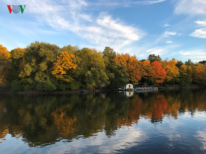 Hàng cây và cả bầu trời xanh thẳm soi bóng xuống mặt nước hồ trong vắt.
