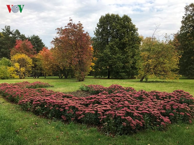 Tất cả tạo nên một khung cảnh thiên nhiên tuyệt đẹp, đắm say lòng người.