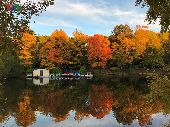 Mặt hồ tĩnh lặng như gương soi.