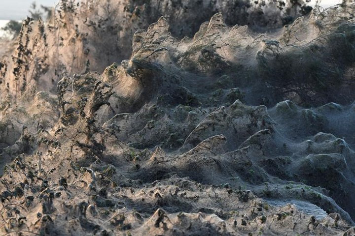 Hiện tượng này cũng xảy ra hồi tháng 9 tại thị trấn Aitoliko, phía Tây của Hy Lạp.