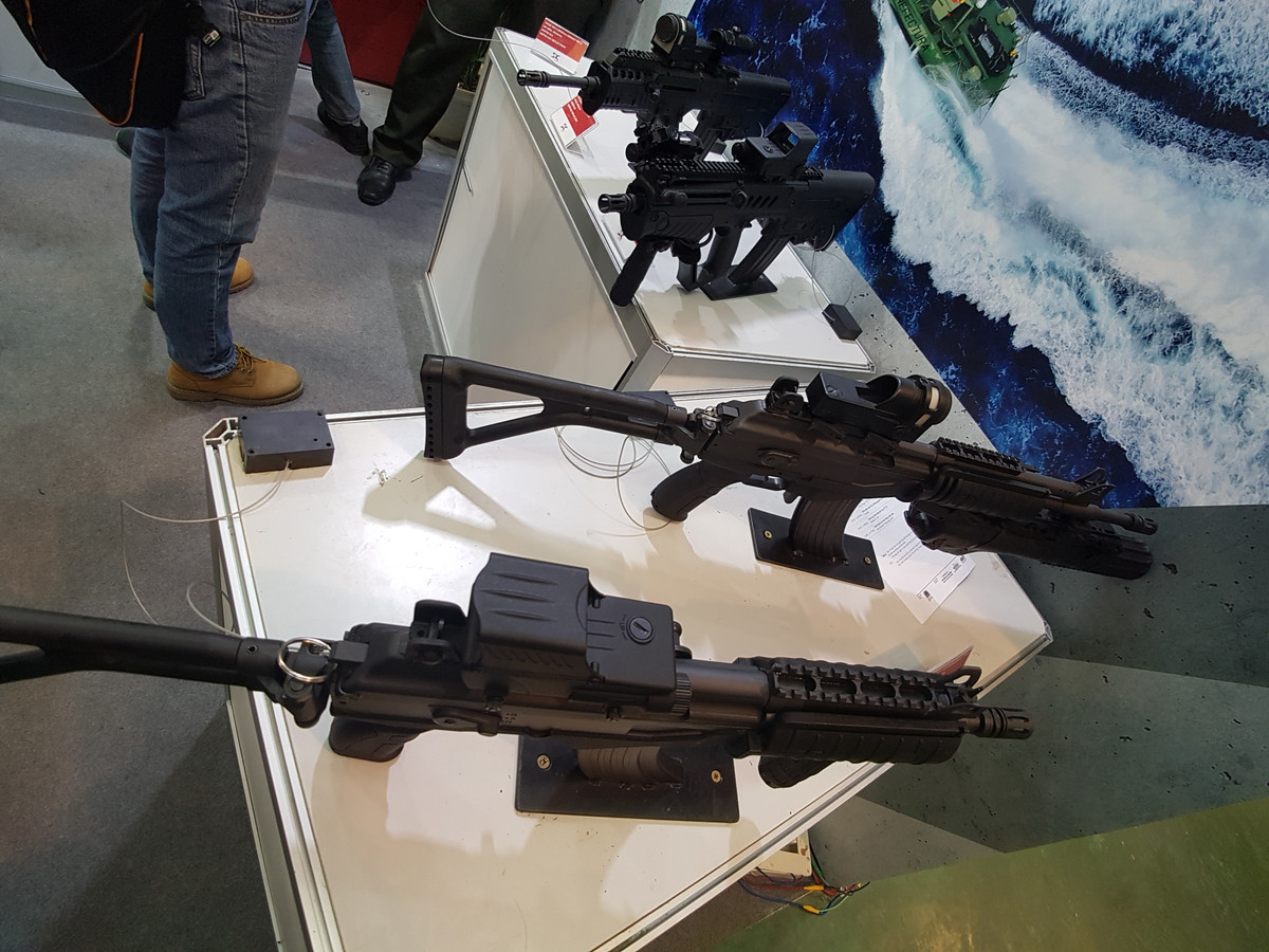 Được biết, ACE 31 là biến thể carbine của súng trường ACE 32 với chiều dài nòng rút ngắn xuống còn 215 mm, khối lượng 3,05 kg, Galil của Việt nam sử dụng báng gập thay vì báng rút như nguyên bản của Israel. Súng vẫn sử dụng hộp tiếp đạn 30 viên như trên AK-47 có tầm bắn hiệu quả 350m, tốc độ 680-880 phát/phút, sơ tốc đầu đạn 600m/s.