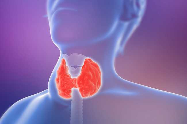  Cường tuyến giáp Đổ mồ hôi nhiều hơn và nhạy cảm với nhiệt là những triệu chứng đáng chú ý của cường giáp. Tuyến giáp kiểm soát sự trao đổi chất của cơ thể, vì vậy khi nó tạo ra quá nhiều hormone, cơ thể bạn phải hoạt động quá mức khiến nhiệt độ tăng lên. Các triệu chứng khác có thể là bạn bị đói hoặc khát hơn, cảm thấy mệt mỏi và mất tập trung, bị tiêu chảy và giảm cân.