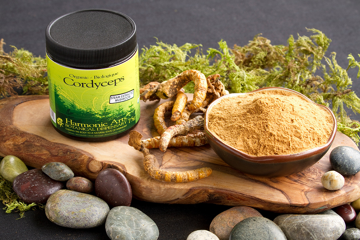 Không phải tất cả nấm đều có thể kết hợp với cà phê cho hiệu quả như nhau. Để tăng thêm năng lượng, hãy thử nấm Cordyceps; để đối phó với căng thẳng và trợ giúp giấc ngủ, hãy chọn Reishi. Bạn có thể mua bột nấm để pha chế hoặc chọn một thương hiệu cà phê nấm ưa thích.