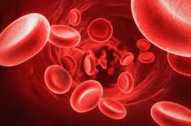  10. Thiếu máu Thiếu máu xảy ra không có đủ tế bào hồng cầu khỏe mạnh để mang đủ oxy đến các mô của cơ thể - và bị thiếu máu có thể khiến bạn cảm thấy mệt mỏi và yếu. Các triệu chứng khác có thể bao gồm da nhợt nhạt hoặc hơi vàng, khó thở và bàn tay và bàn chân lạnh. Thiếu máu thường có thể được giải quyết bằng cách bổ sung sắt.