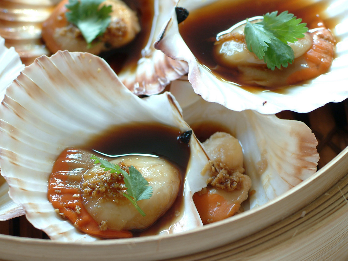 Động vật có vỏ là một số loài động vật dinh dưỡng nhất được tìm thấy ở biển. Chúng rất giàu chất dinh dưỡng quan trọng như vitamin B12 và kẽm.