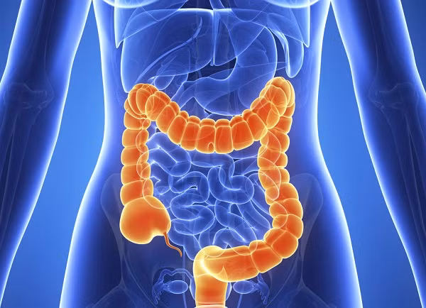 5 benh ung thu nguoi Viet Nam mac phai nhieu nhat hien nay-Hinh-5