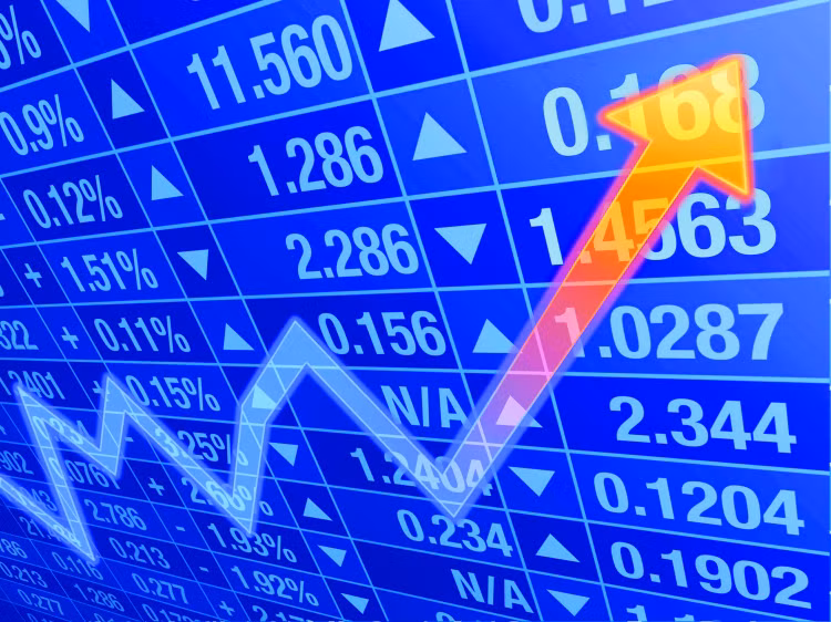 Co phieu nao re hon mo rau tren san chung khoan Viet?