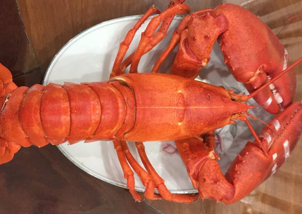 Không chỉ có lợi cho sức khỏe, hải sản còn có thể chế biến thành nhiều món, vô cùng đưa cơm. Tuy nhiên môi trường sống dễ khiến hải sản chứa kí sinh trùng gây hại, đặc biệt là những loại thực phẩm dưới đây.